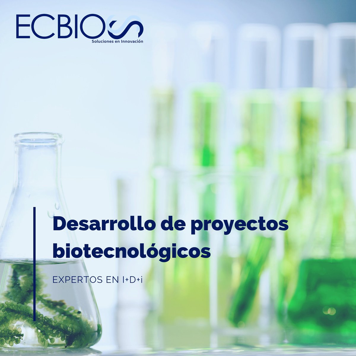 I N N O V A L A B 

¿Tienes un proyecto con base biotecnológica? 
¡Estas en el lugar indicado!
Nuestro laboratorio esta equipado y listo

****Visita --> ecbios.com/innovalab

#ECBIOS#FUTURE #RESEARCH #BIOTECH #DEVELOPMENT #LAB #MEXICO #LABORATORY #ALGAE

INNOVALAB