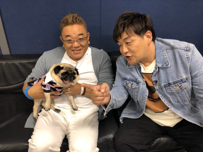 坂上どうぶつ王国 激カワ動物 奇跡の救出sp 爆笑どうぶつ動画ランキング As You Know