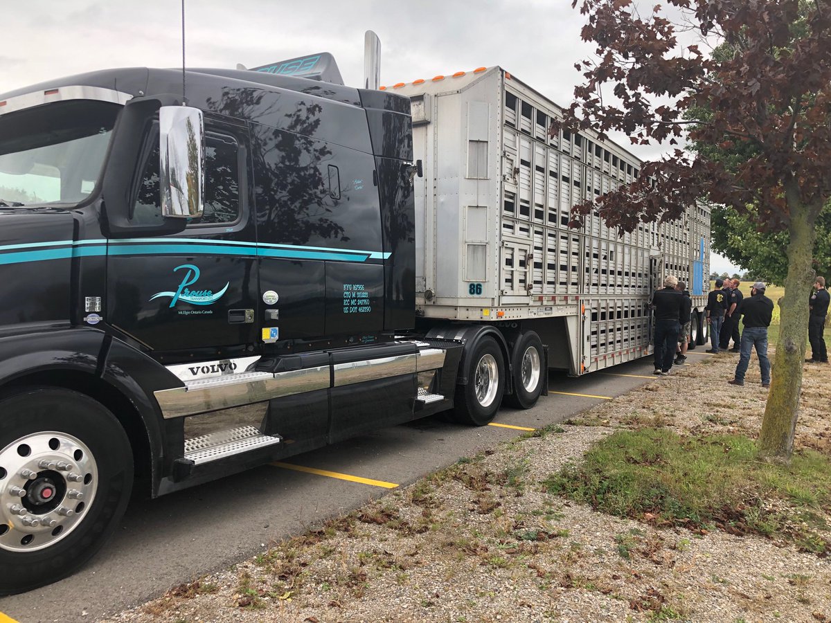 SWOXfire's tweet image. @SWOXfire recently hosted animal transportation training. There was lots of great useful information. In order to protect our farm animals we must train and prepare for anything.Special thanks to Belore Trailers, Prouse transport and Richmar Farms. Also thanks to @BruceKelly52