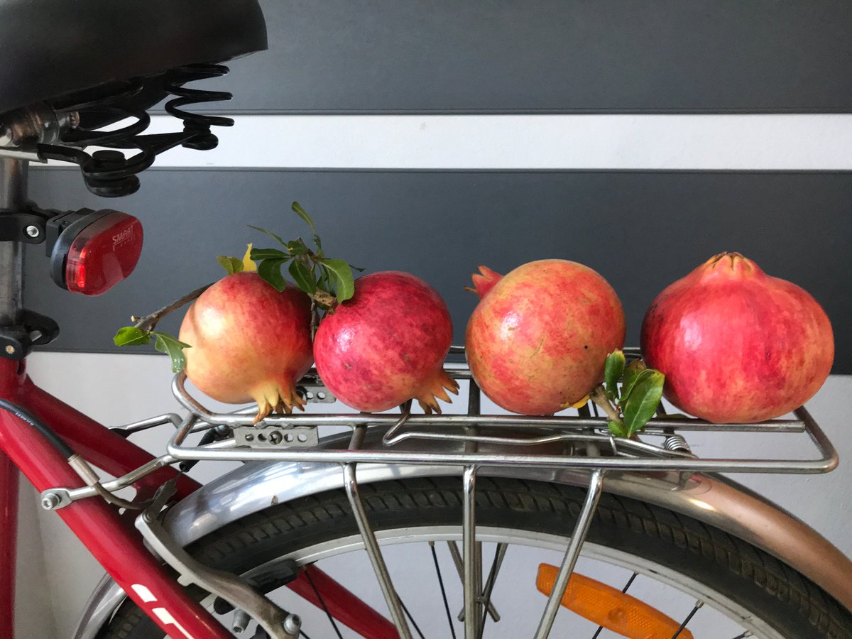 #Collecting thoughts giving them meaning #CHIOS GREEK ISLANDS <a href="/seabreezechios/">Sea Breeze Chios</a> 
#holiday #greek #islands #chios #residences #mastcha