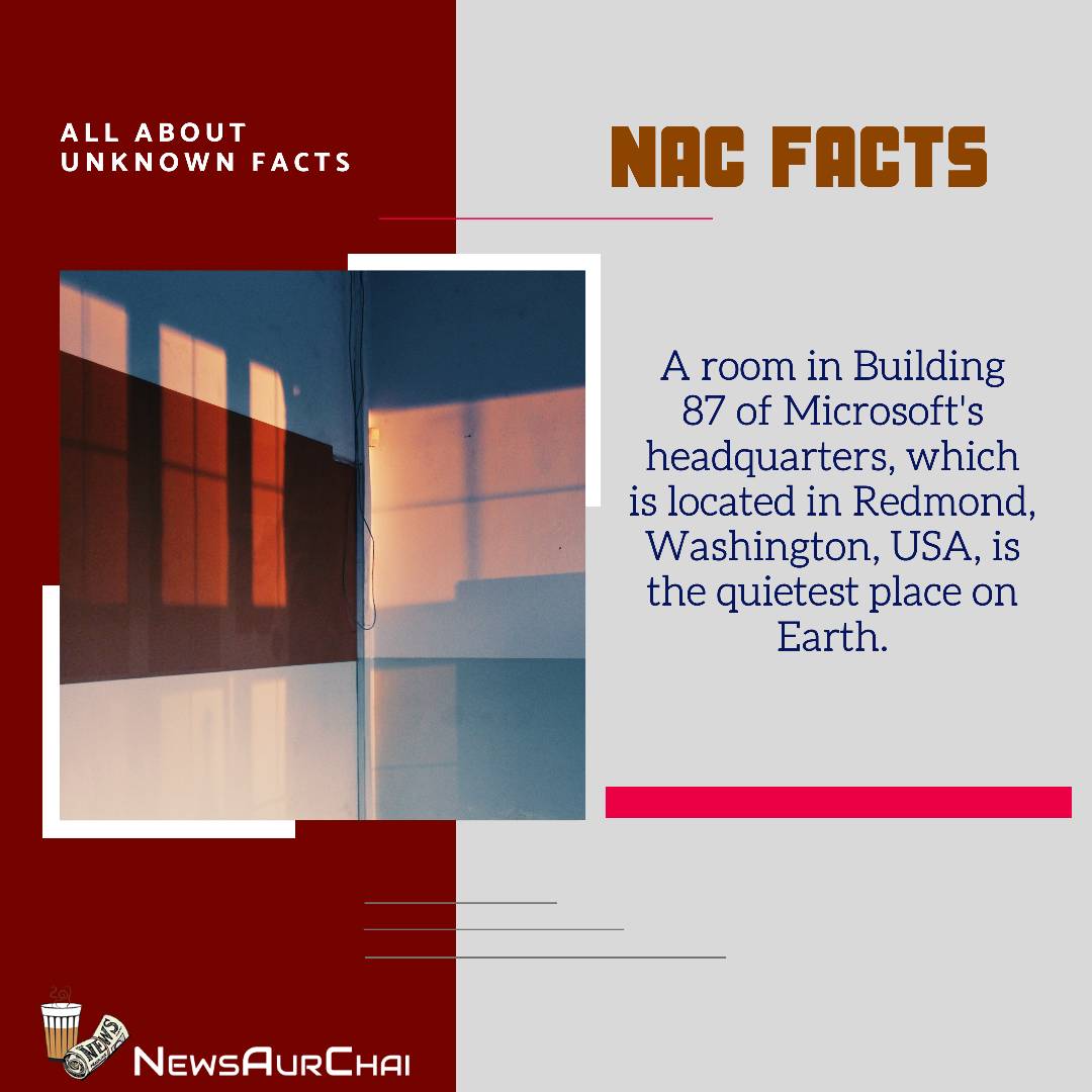NewsAurChai's tweet photo. #FactualFriday With #NAC.
---
#Follow to learn More #Facts.
---
#NACFacts #NewsAurChai #NACDay #WednesdayFacts #FactualLife #Knowledge #FactsToKnow #FactPro #FactTo learn #ScientificFacts #Learn #LearnAndGrow #CreativeFacts #FactsInPictures #WorldFacts #Peace #Microsoft #Earth https://t.co/CiXnHqGrWM