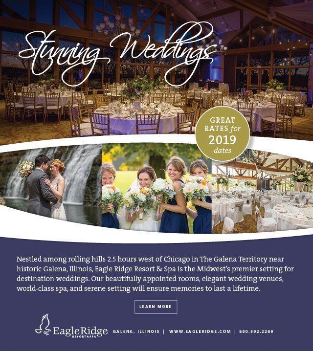 Chicago Style Weddings - The Celebration Society tweet media