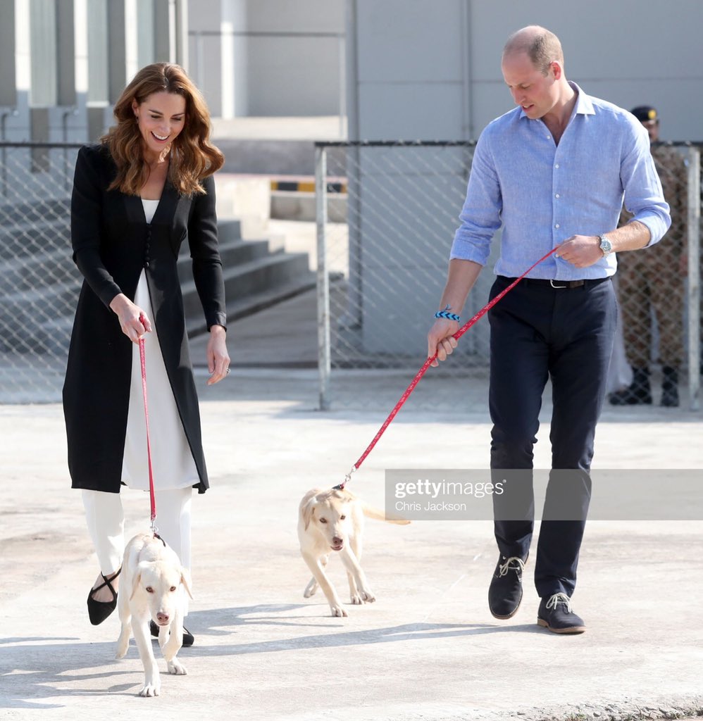 ChrisJack_Getty's tweet photo. No better way to end an epic Royal tour than with some cute puppies - These dogs have a serious message though as they are being trained up to detect improvised explosive devices in a joint UK / Pakistan venture at the Army Canine Centre in Rawalpindi #RoyalVisitPakistan https://t.co/KPl6hlWsmX