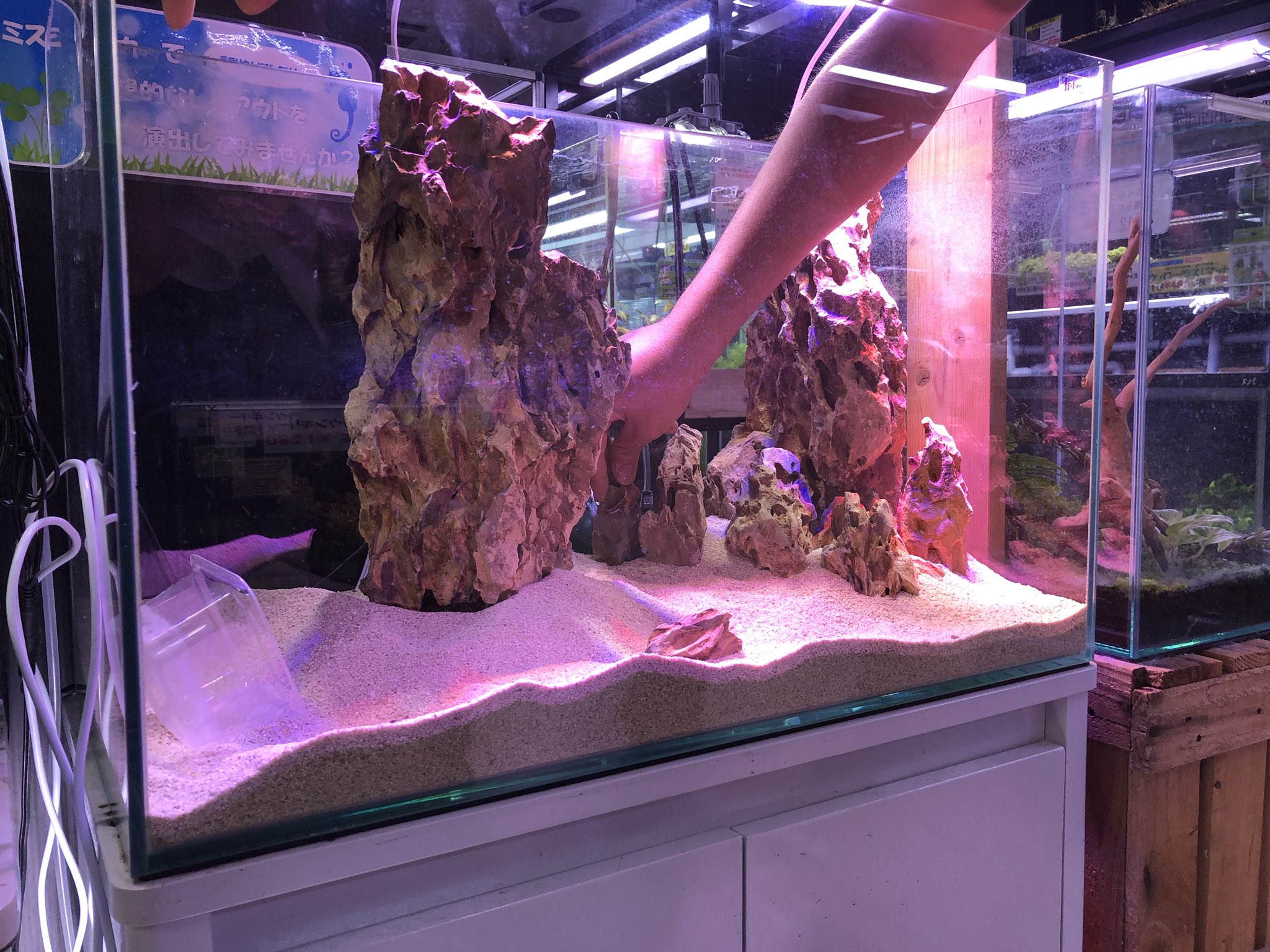 半田水園 春日井店 新しく取り扱い始めた黄孔石 おうこうせき です レイアウト得意なスタッフが 温室入り口の水槽にてただいまレイアウト組み立て中です もうすぐ完成しますよ お楽しみに 水草水槽 石組みレイアウト 洞窟 飾り石
