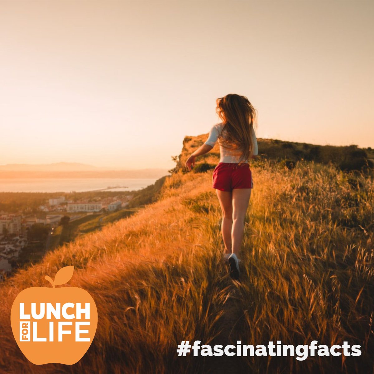 BreastCancer_UK's tweet photo. #FascinatingFact: Eating right can boost your energy and enhance your athletic performance! This October we want to encourage you to eat healthier for lunch and help reduce your risk of developing breast cancer. Check out our #LunchForLife campaign: https://t.co/B6HWBXSO0Z #bcam https://t.co/7ovtzX709d