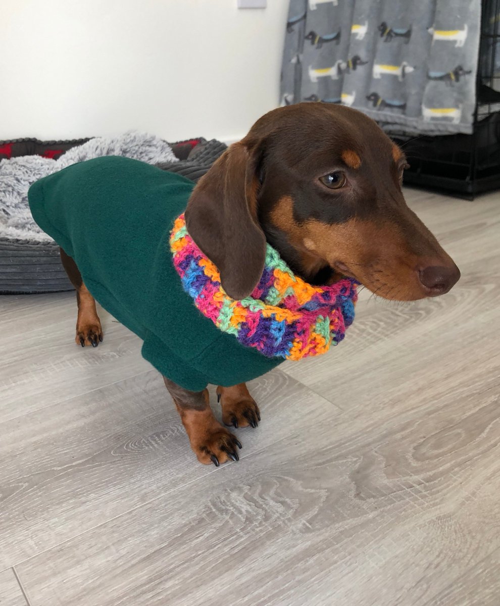 DryHound tweet media