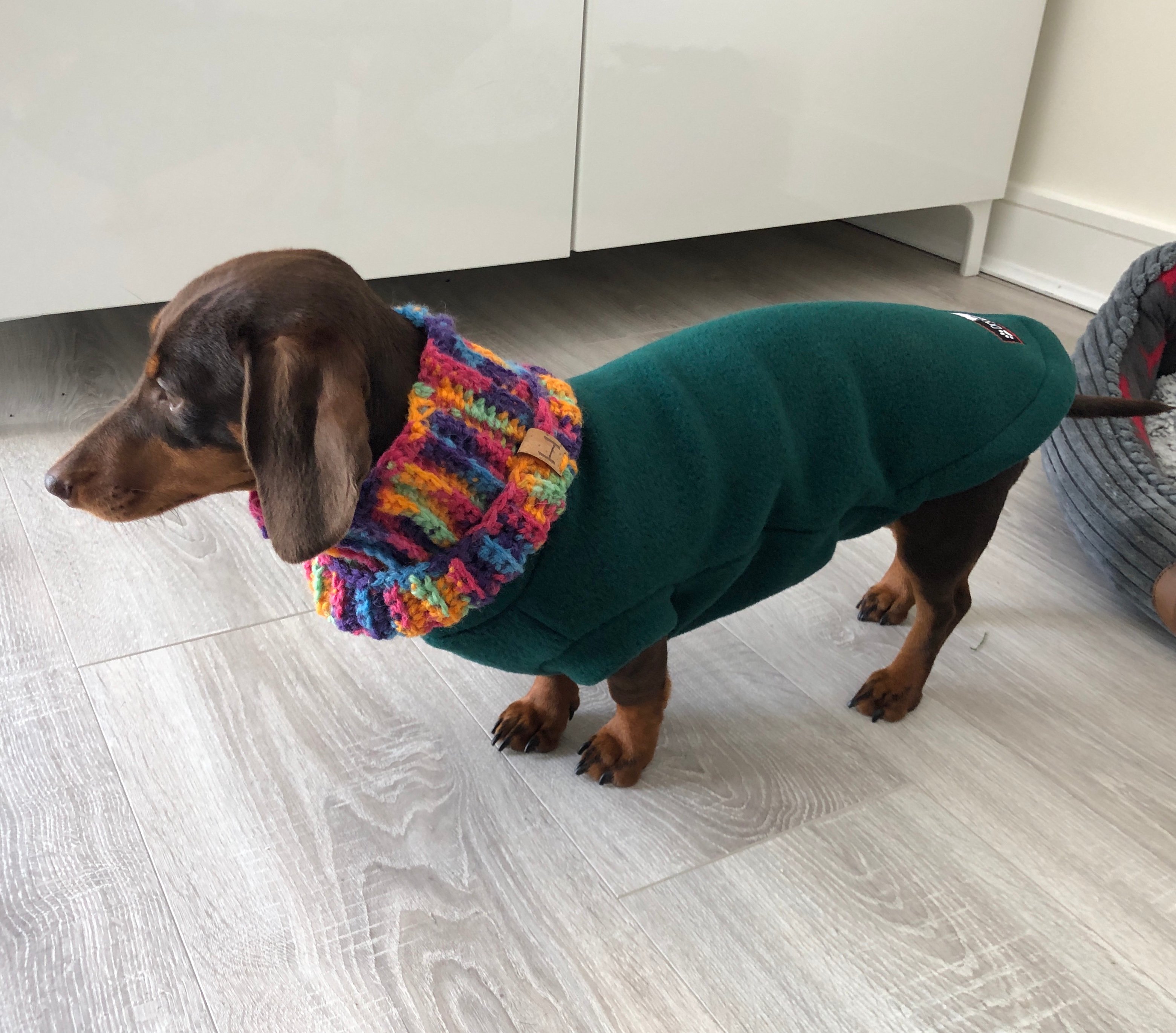 DryHound DryHound X