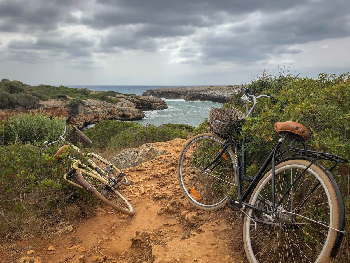 MazdaBongoShop's tweet photo. Any Bongo buddies planning Autumn adventures - you can purchase a Fiamma two bike rack from our website and take your 🚲 🚲 with you wherever you venture. Visit https://t.co/3T92Icm7jk to buy [Photo by Gary Butterfield on Unsplash] https://t.co/ANsIiL2jez