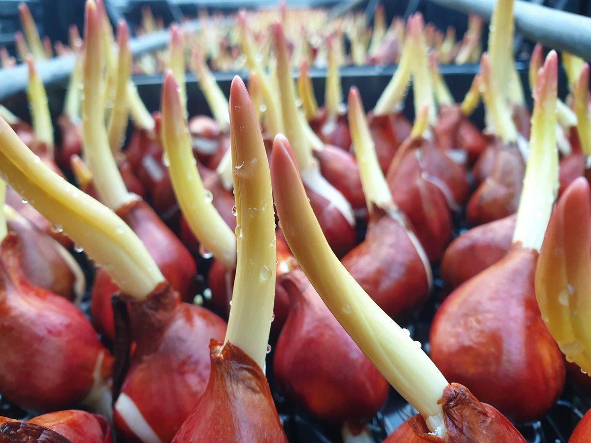 Mark Eves tweet media