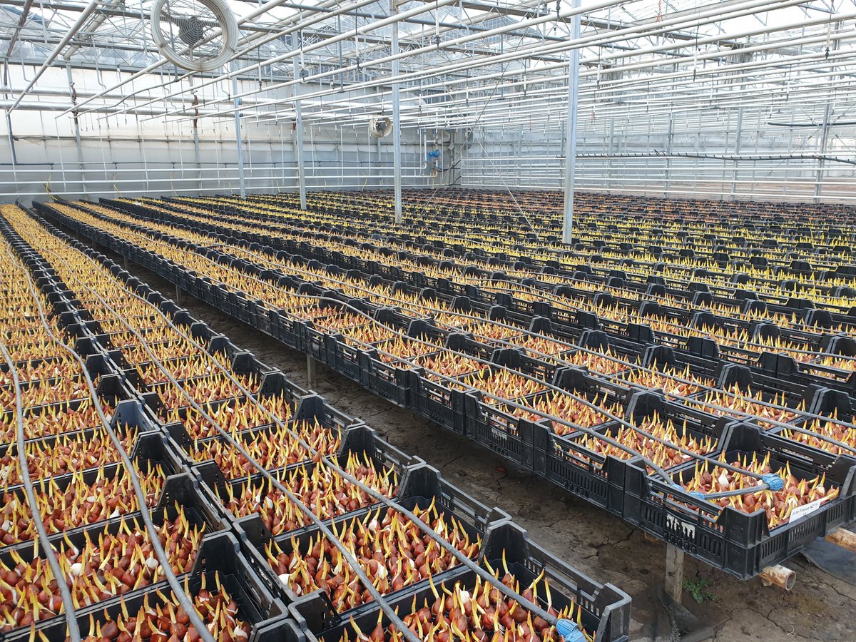 Mark Eves tweet media