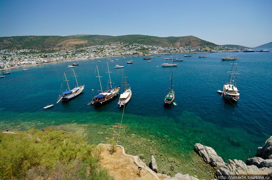 #Bodrum gezilecek yerler: Türkiye'nin marka olmuş turizm ilçesi Bordum'da görülmesi gereken yerler… Enfes koyları, eşsiz güzellikteki doğası
gezicini.com/bodrumda-gezil…
#Muğla #Tatil #Gecehayatı #Barlar