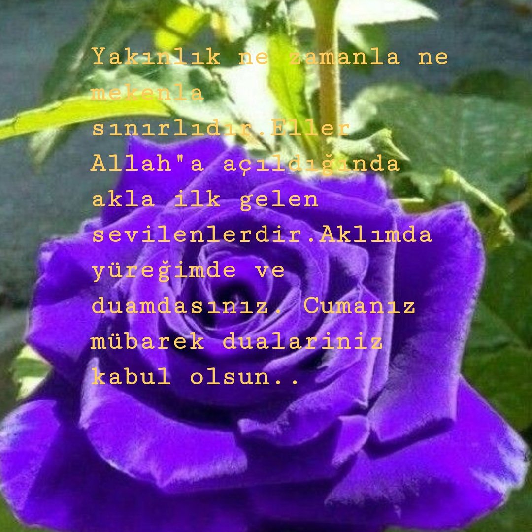 Tüm dostlarıma derim ki bayrağımız göklerde ezan sesimiz minarelerde yükselsin kahraman askerimize güç kuvvet versin