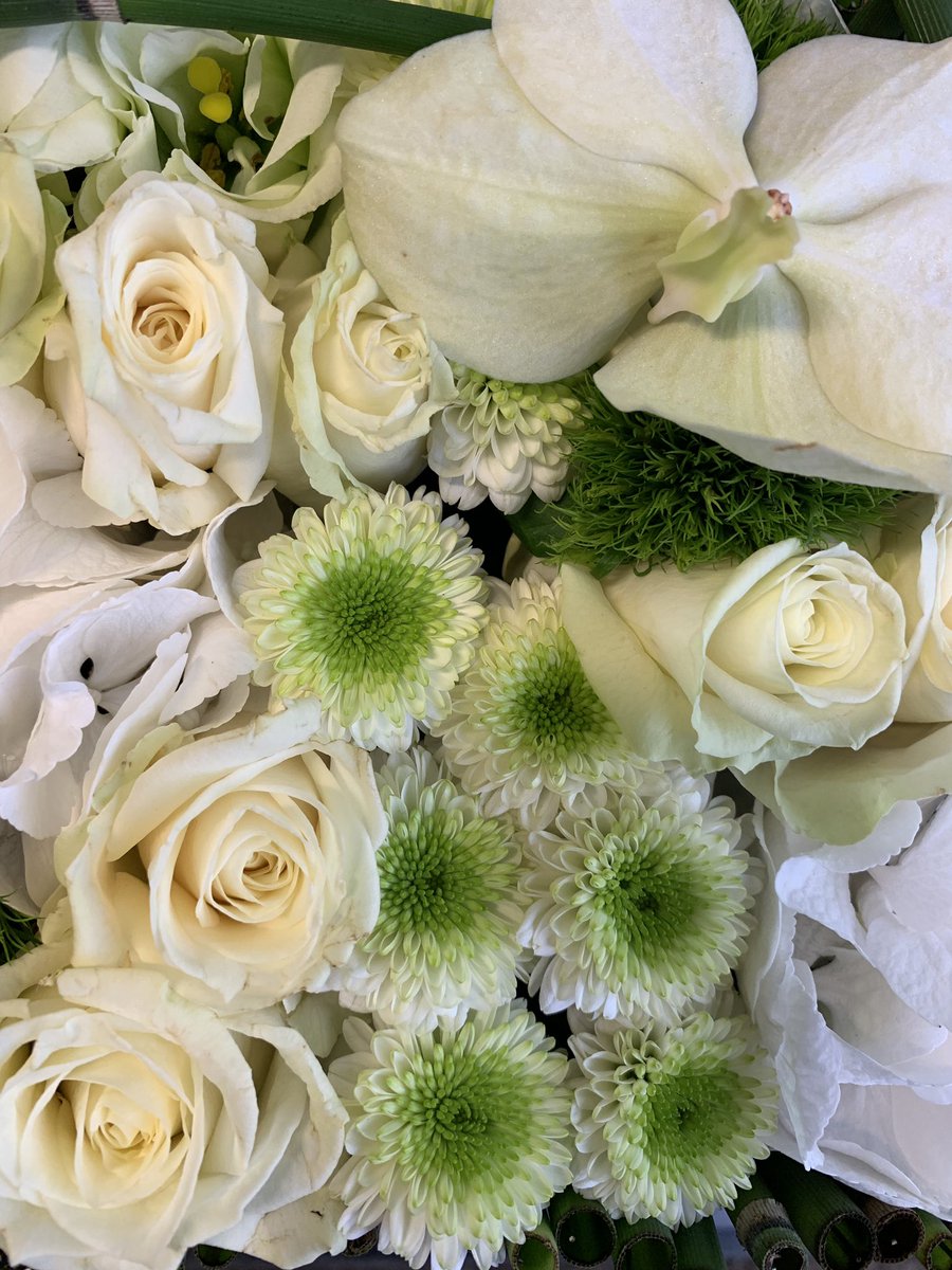 Patrick Toulmet tweet media