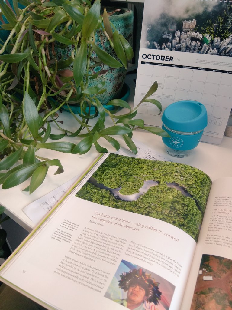 bowscovery's tweet photo. I love it when people come to tell me something they saw about #coffee... especially this time @alanstenhouse

I'm so engrossed in my new #coffeetablebook #CosmosCoffee from @DeutschesMuseum eds.
Melanie Jahreis @saramarquart @NinaMoellers 

#sustaincoffee #coffeeaddict #phdlife https://t.co/93cMHuEf6Y