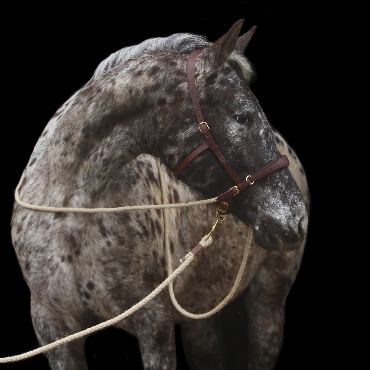 Viele neue Farben - und etwas zu gewinnen! - mailchi.mp/08bd810c21c6/d…