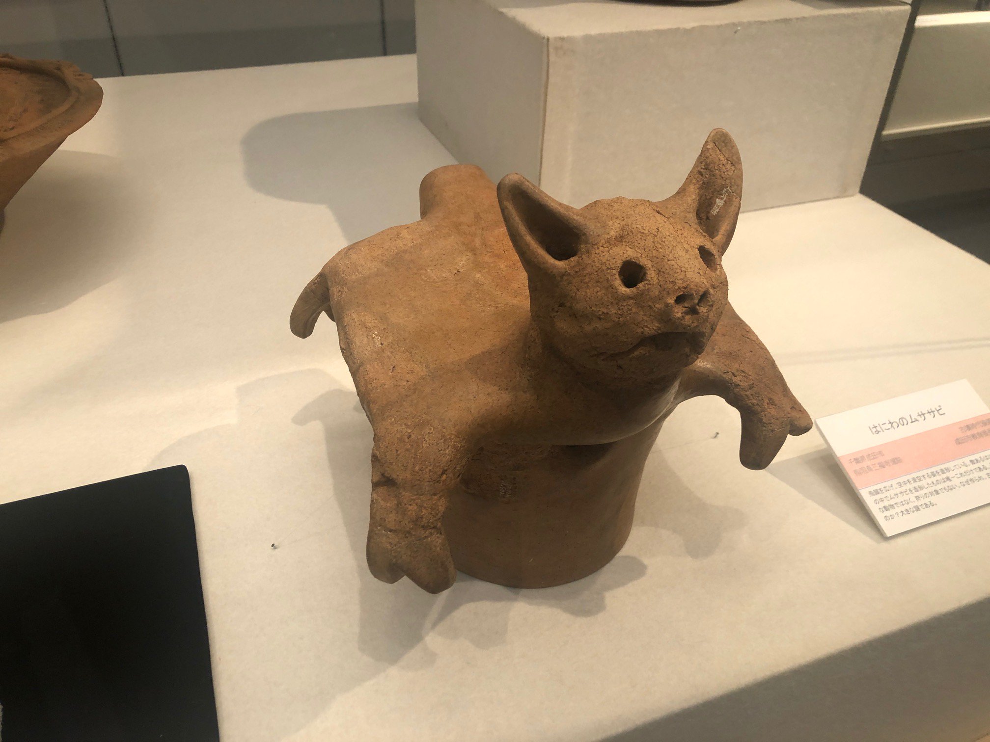 福島県立博物館 公式 あにまる Zoom 千葉県成田市の古墳時代後期の遺跡から出土したムササビのはにわ 数ある動物はにわの中でムササビを造形したものは唯一これだけです それほど身近な動物でもなく 狩りの対象でもないムササビくん どうして
