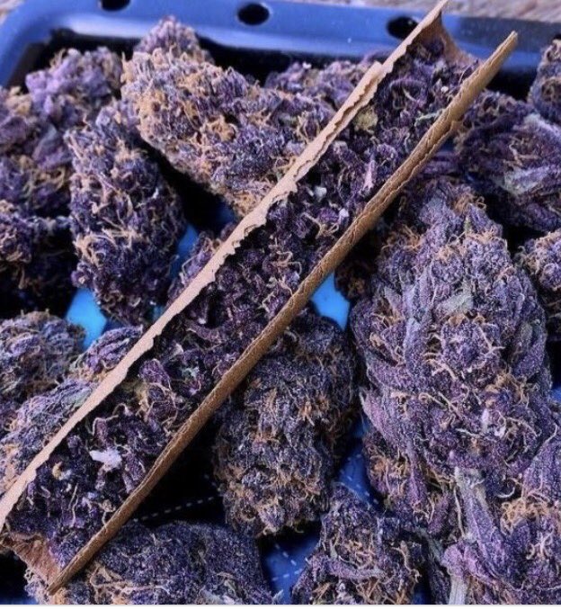 noenemy9's tweet photo. มีร้านไหนขาย purple kush บ้าง 💚 https://t.co/zOUEKIVn3E