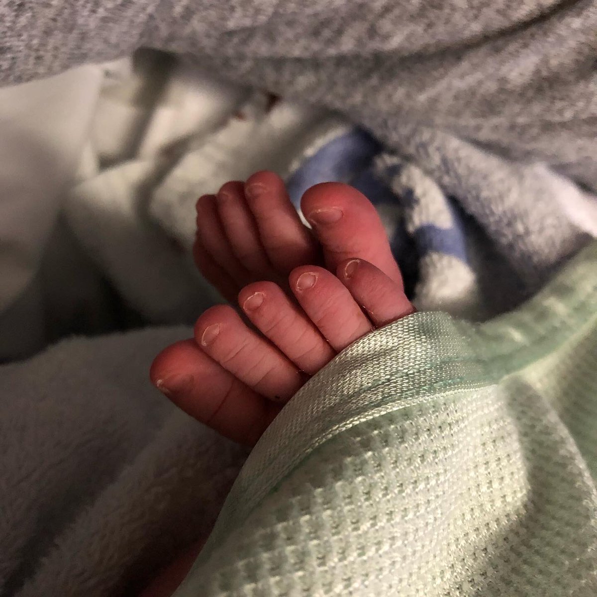 Catherine Dutton tweet media