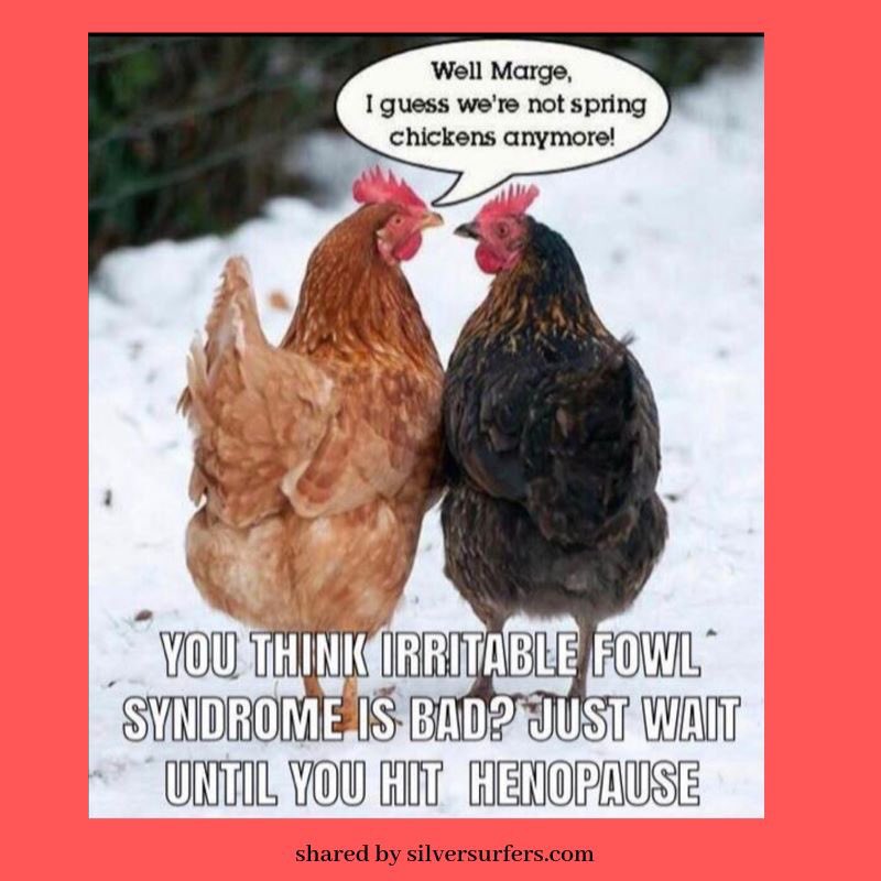 @beddownpoultry Us old birds love our Cozy Chicken nests too. #cozychicken #coolchicks #loveyourchickens #trymenow