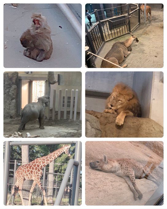 Twitterのコスプレ画像47