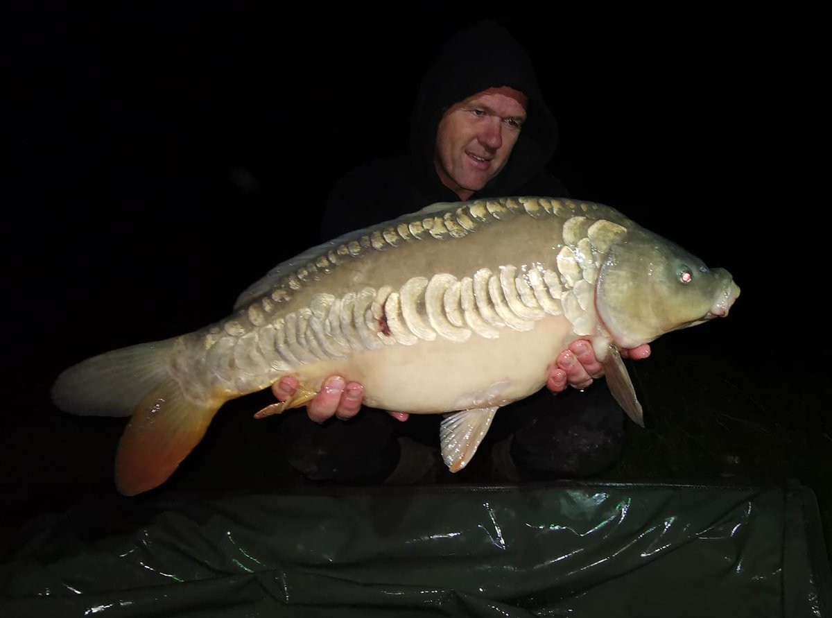 SteAlfordCarp's tweet photo. 15lb 6oz, 15lb 10oz, 13lb 4oz, 12lb 2oz &amp; 12lb for Tees Valley owner Ste Alford on Eagle.
#TeesValleyLakes
#DNABaits
#JPrecisionHooks https://t.co/qUiO2cLGif