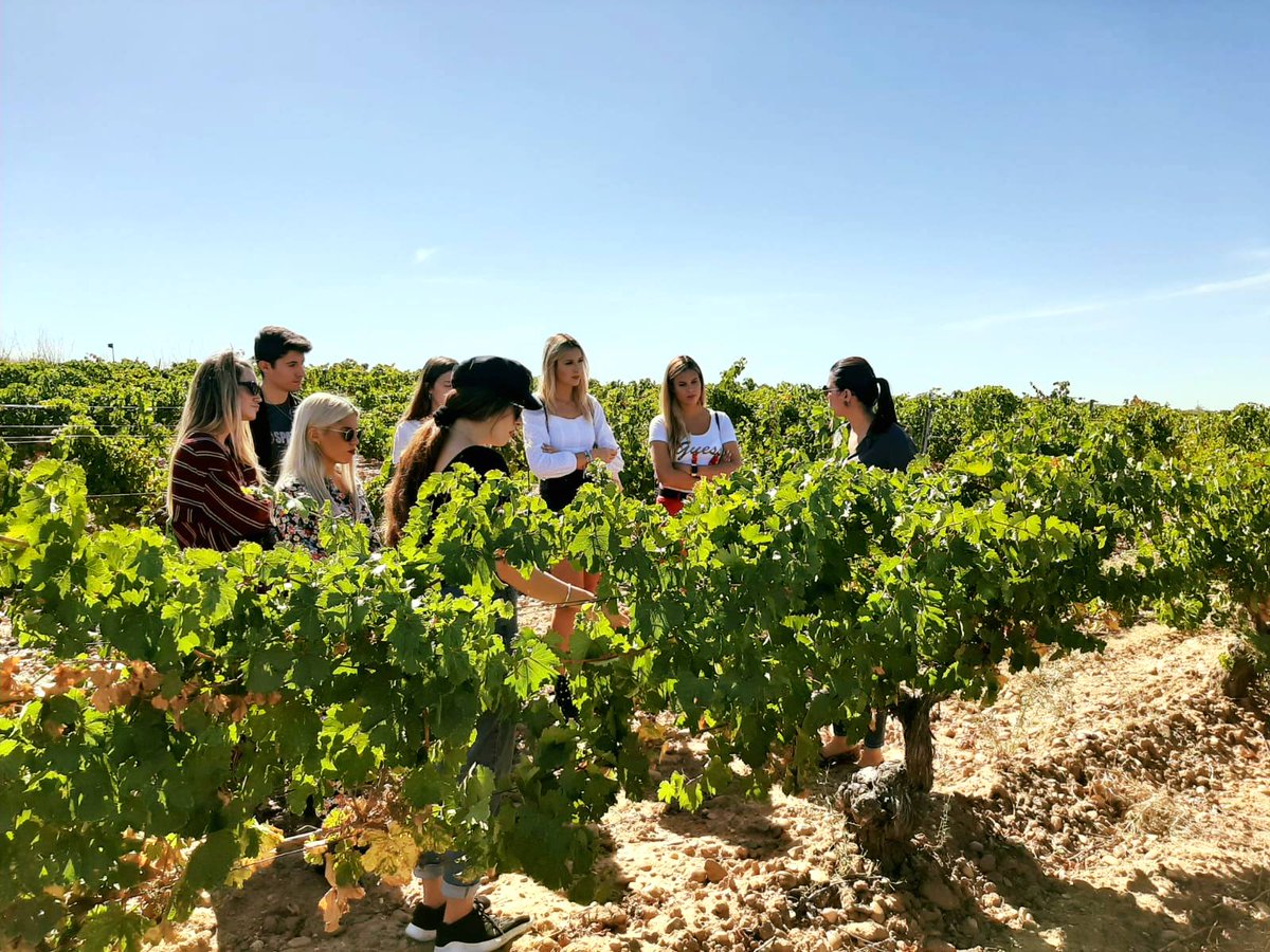 Recordamos la visita de jóvenes #influencers, donde les mostramos el tándem suelo-variedad, y si a esto le sumamos el manejo de la vid, obtenemos los elementos de partida de un buen vino, porque bien es sabido que "un buen vino nace en la viña".
#dorueda  #rueda #winemoment