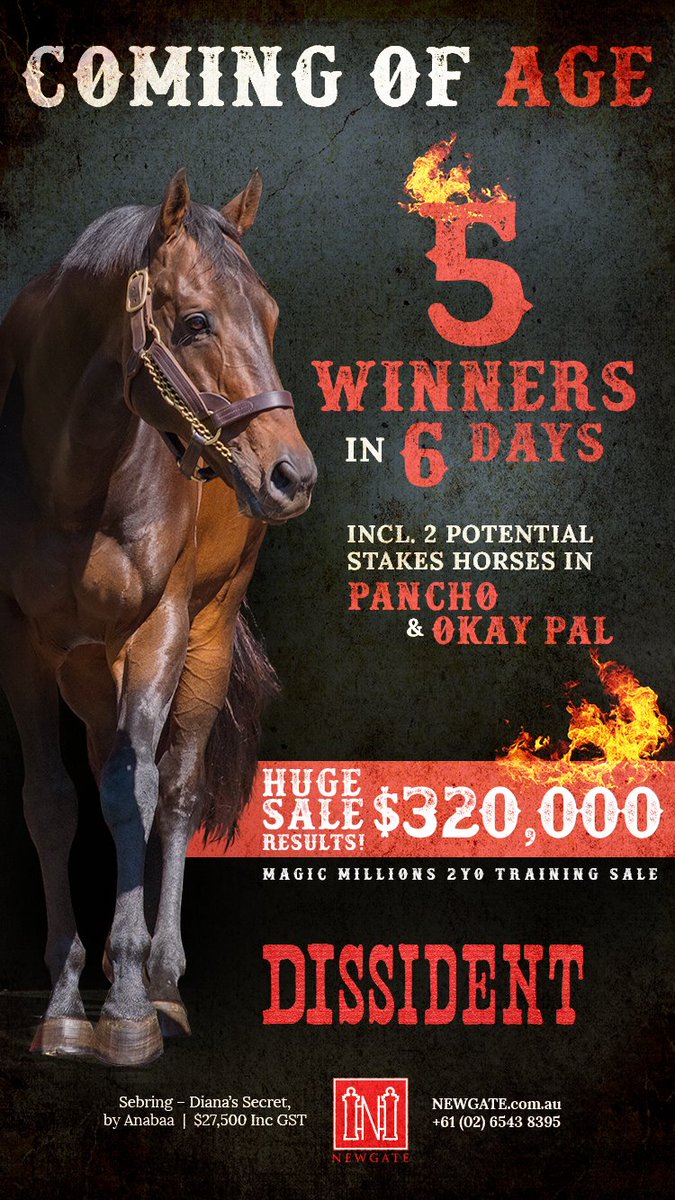 NewgateFarm's tweet photo. DISSIDENT 🛩️ strikes again today 👊 with SANDSATION too good winning over 1400m @PakenhamRacing for the team  @MickPriceRacing &amp; @pasteypiper 
Congratulations to her breeders Ashleigh T'breds &amp; Huntworth Stud  &amp; all her connections

Now with 7⃣winners in 7⃣days - need a new ad‼️ https://t.co/kvV5XsnXNf