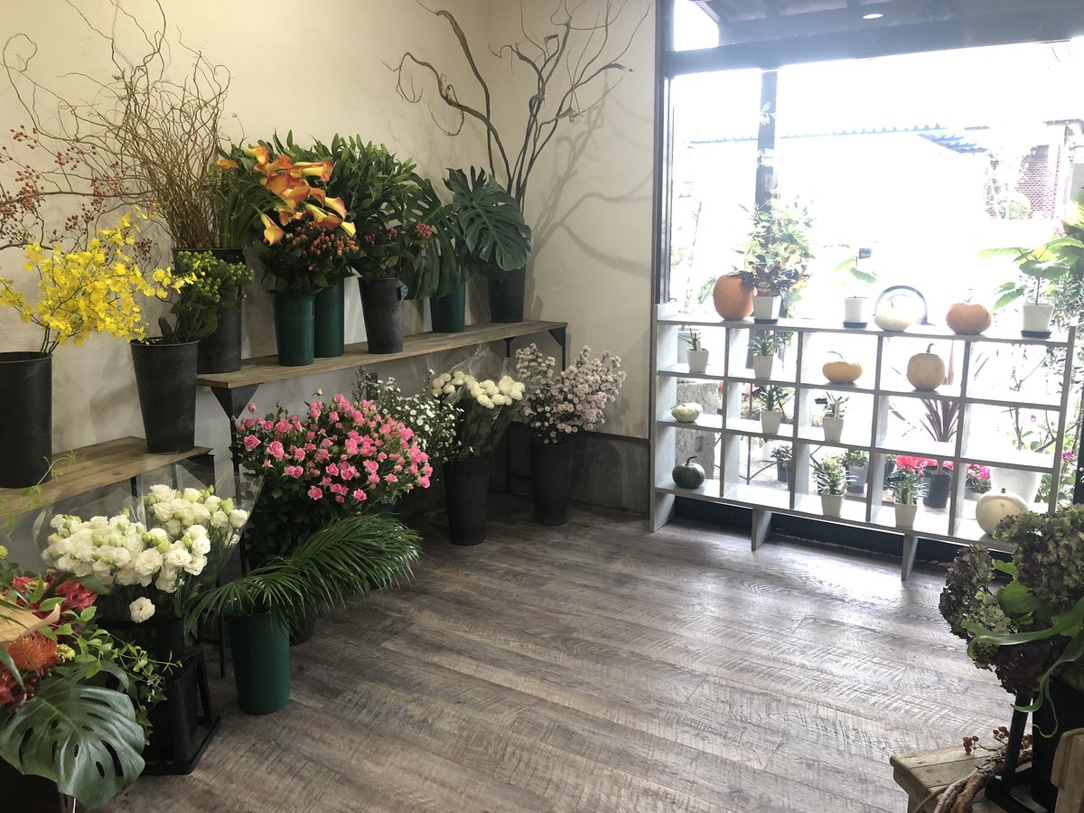 𝕐𝕠𝕤𝕤𝕐 今日は友人が笠間に花屋を開業させたのでちょろっと行ってきました 店名が Standard Flower Garage 男性店主故の 男性が入りやすい雰囲気 作りがしてあります 多肉植物 塊根植物 ドライフラワーも取り扱ってました