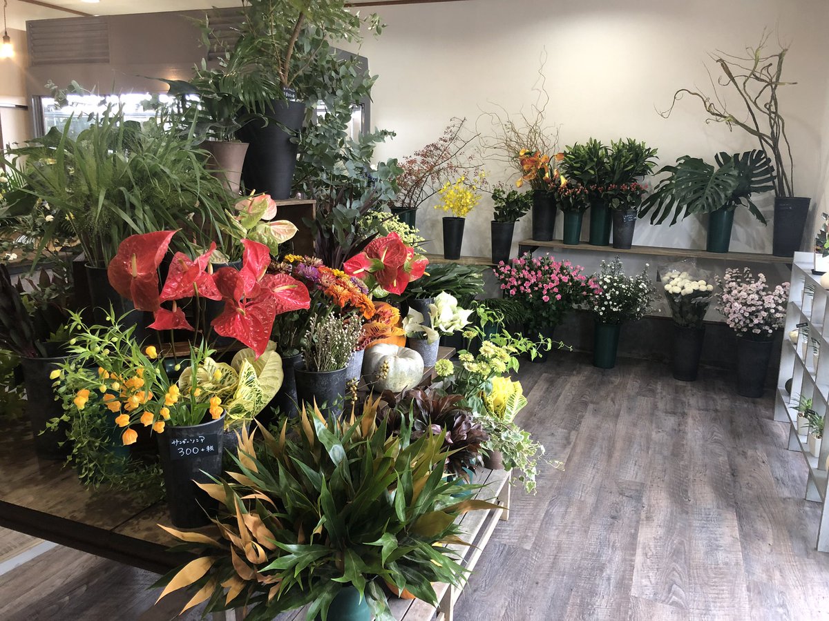 Yossy 今日は友人が笠間に花屋を開業させたのでちょろっと行ってきました 店名が Standard Flower Garage 男性店主故の 男性が入りやすい雰囲気 作りがしてあります 多肉植物 塊根植物