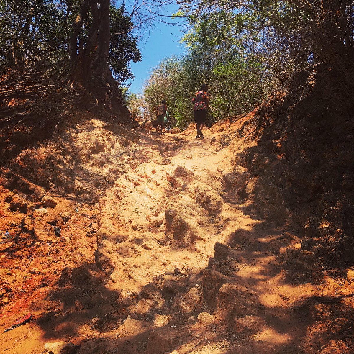 Just a wee bit of a climb to reach our household survey respondents! 😂 all in the name of science, right ?! #fieldwork #research #tanzania #surveys