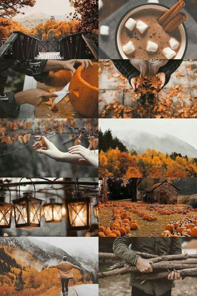Rol_Band's tweet image. O t o ñ o  2 0 1 9

—Ambientación temporal
—La villa del terror
—Festival de otoño

                               🍂 +👇🏻