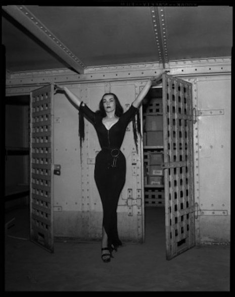 書肆ゲンシシャ 幻視者の集い Twitter ನಲ ಲ ヴァンパイラ 1955年 メイラ ヌルミはアメリカの女優で 仮面舞踏会に黒い長髪と黒のドレスで参加したところ プロデューサーの目に留まり ホラー映画がテレビで放映される際のホスト役に抜擢されました