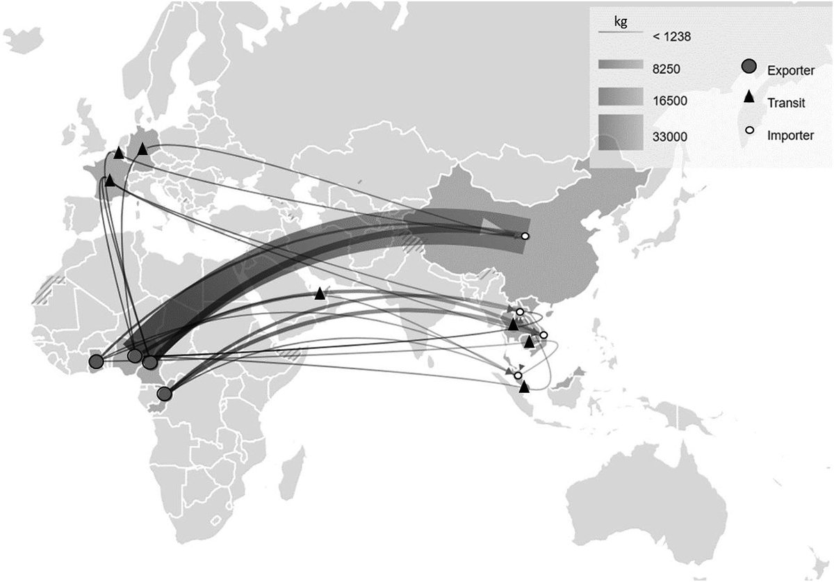 Study puts spotlight on Gulf of Guinea as hotspot for illegal trade in #pangolins &amp; identifies Cameroon &amp; Nigeria as most common export countries for international trade in #pangolin scales. Read more in the special edition of Global Conservation &amp; Ecology bit.ly/32oQmvS