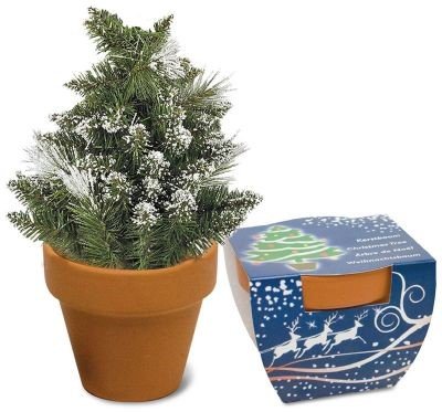 It's now only 68 days until Christmas (yikes!) but your brand can stay on your customer's desk ALL season with this cute little grow your own Christmas tree kit, in reusable terracotta pot! 🎄🎄🎄#ChristmasCountdown #PromotionalMerchandise