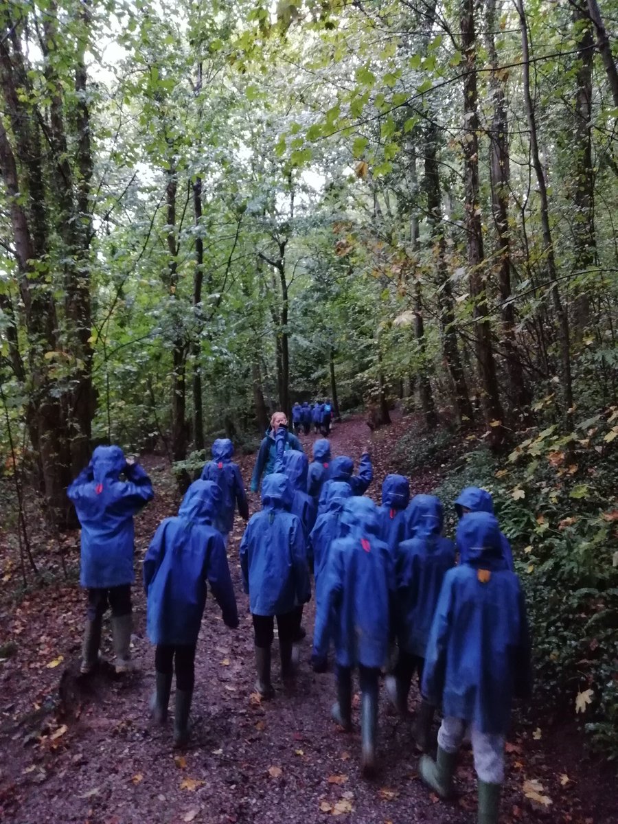 ClaphamTerrace1's tweet photo. Ending our time at Marle Hall with a woodland adventure to review our week #ChallengeAccomplished https://t.co/XSkUuqSbQH