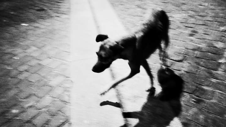 What a week at Café Central!  You're still with us? 🔊
Ton!te = Friday Night  UNREzT. All-Stars #4 : 🔊
LBNHRX vs Fat Chance, Lium, Dj Track 
🔊