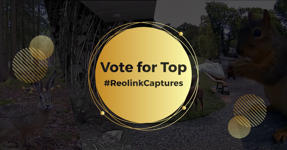 ReolinkTech's tweet image. #ReolinkCaptures contest is still open to voting. Pick your favorite video and the winner will receive an Argus Eco as a gift 👉 bit.ly/2nPAVNG
If you have great videos captured with your #Reolink cameras, don't hesitate to share with us 👉 bit.ly/2nAgxjO