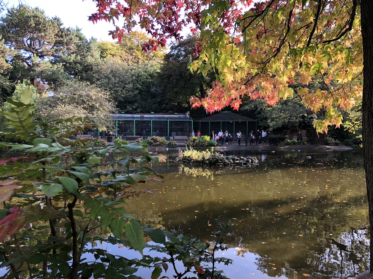 NottsHighIJS's tweet image. What a beautiful morning for an autumn🍂 walk in The Arboretum #somuchmore #FutureWeek #Nottingham