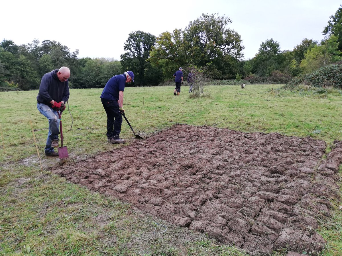 Facing down the weather to start our meadow enhancement work at Barnetts Wood LNR! Thanks to #sussexlund and @highweald for funding the project. Next task 31 Oct - more #volunteers needed!