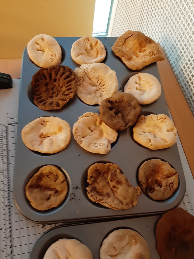 GrangeHarrow's tweet image. Year 3 made fantastic fossils after their inspiring science topic this term #fantasticfossils #superscience #futurescientists #Archaeology