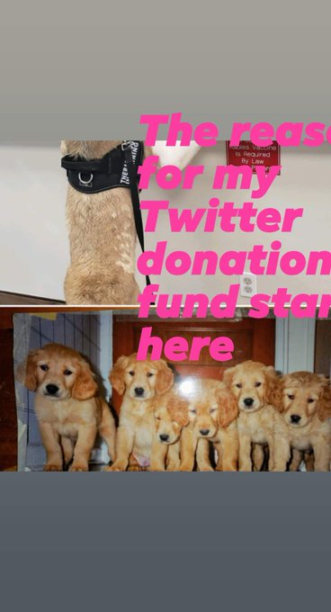 this is where the Story begins. Which has led to my Twitter request for funds to donate money for the