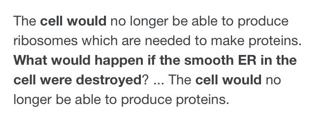 CCentrosome's tweet photo. Smooth ER ain’t so smooth https://t.co/PwdAZYLFoj