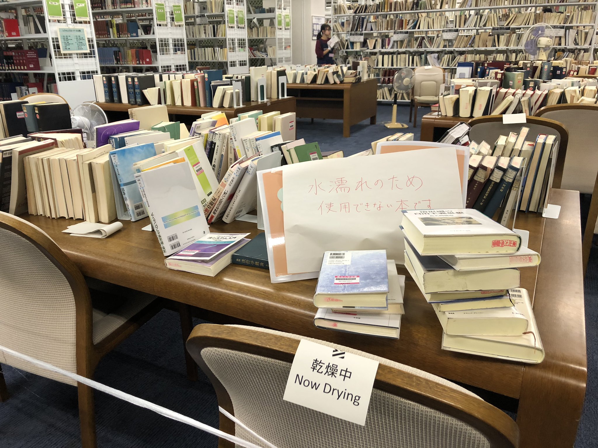 大隅典子 東北大学 同じsendaitribuneとしてnoteも書いています 台風 19号 東北大学附属図書館 学生閲覧室を中心に雨漏り被害 床のカーペットは表面は乾いているようですが その下は湿っているかもしれません 屋上の排水溝に落ち葉が詰まって
