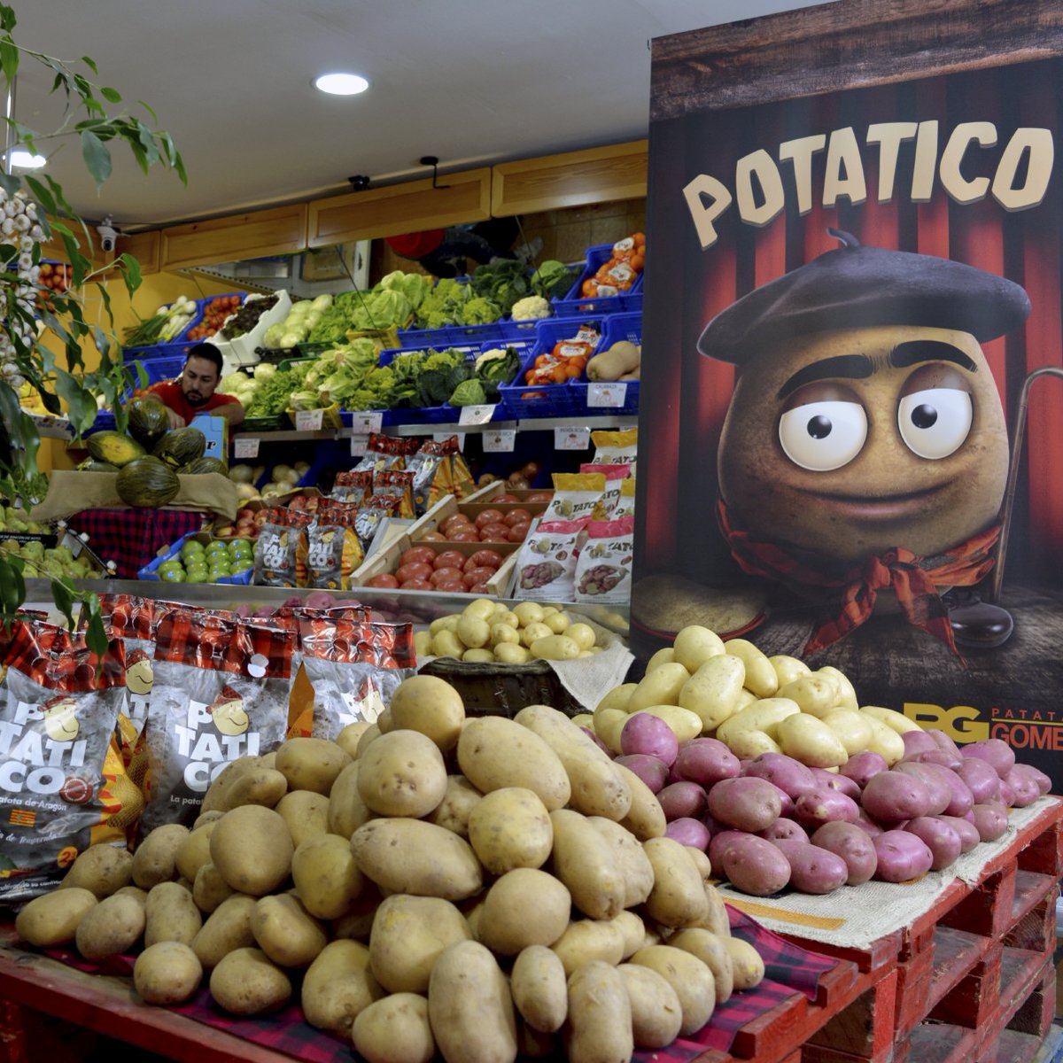 PatatasGomez's tweet photo. En @patatasgomez apostamos por las zonas rurales de #Aragón con productos de proximidad como nuestra patata Potatico.

👉100% aragonesa
👉De temporada
👉Perfecta para freír

¡Pregunta por ella en tu frutería más cercana!

#patatas #patatasgomez #zaragoza #madeinzgz  #potatico https://t.co/3c8myLvt8C