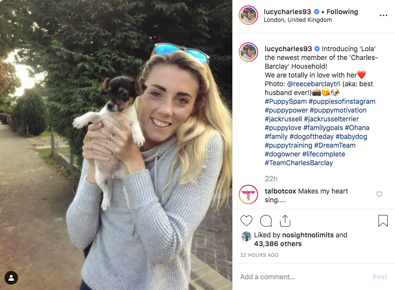 usatriathlon's tweet image. Just remember, with dogs as motivation — you can accomplish anything in #triathlon. 😉 Congrats on the new pup, @LucyAnneCharles! 🐶

#PuppyMotivation #Dogs #DogsOfTwitter #IMKona #imkona2019 #ironmanworldchampionship
