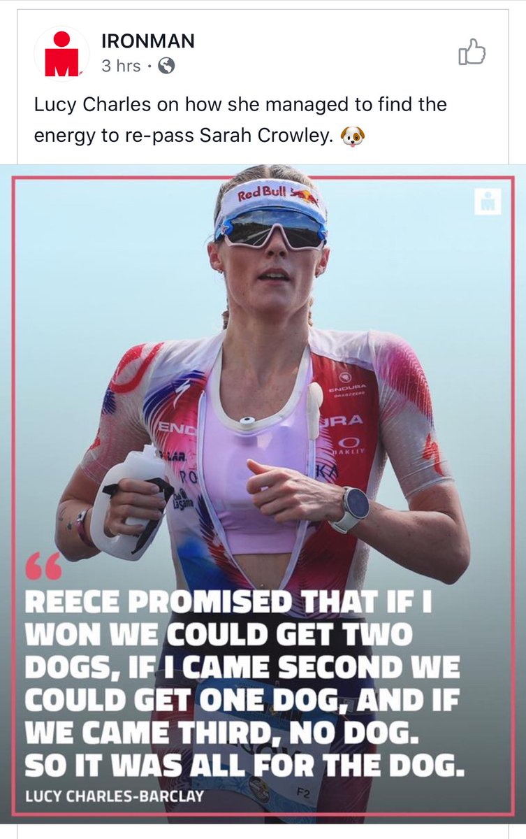 usatriathlon's tweet image. Just remember, with dogs as motivation — you can accomplish anything in #triathlon. 😉 Congrats on the new pup, @LucyAnneCharles! 🐶

#PuppyMotivation #Dogs #DogsOfTwitter #IMKona #imkona2019 #ironmanworldchampionship