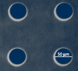 adriancandelas's tweet photo. First fabrication of micro-wells done!! 😊
We can introduce one or two cells in the micro-wells analyzing single-cell behaviours or single-cell interaction with different surface coatings.
#Microfabrication #StartingthePhD https://t.co/ypAGCz0HUF