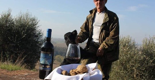 #November, #WhiteTruffle in #Tuscany, #gourmet tourism.
3 weekends at #FattoriadelColle, hunting, cooking truffles and tasting our #Brunello 

cinellicolombini.it/en/forum-en/no…