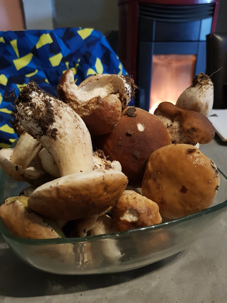 Merci papa je vais pouvoir m en mettre plein la pense ce soir 😁😁😁😁