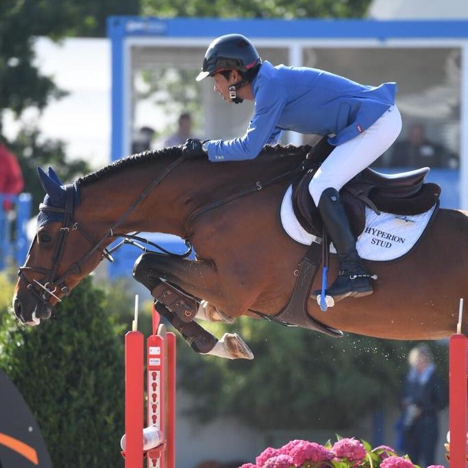 A shot of our Campodello (Cascadello/Diarado/Contender) and Taizo Sugitani competing at FEI / WBFSH Jumping World Breeding Championship for Young Horses in Lanaken last month.

#hyperionstudeurope #hyperionstallions #holsteinerverband